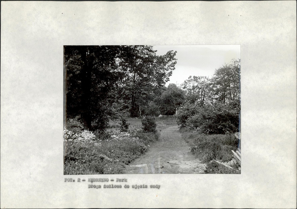 Ewidencja parkowa, skan nr 11