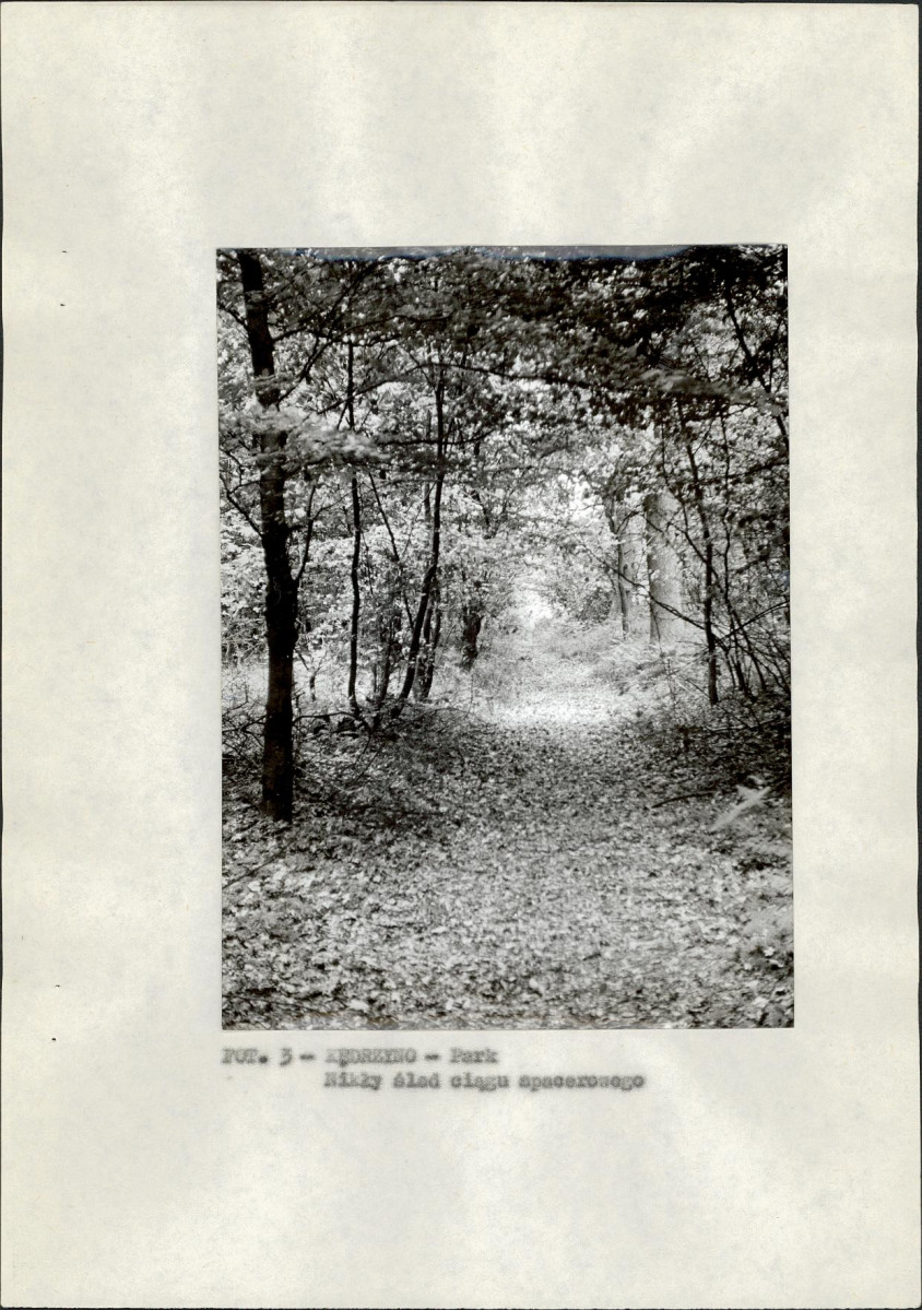 Ewidencja parkowa, skan nr 12