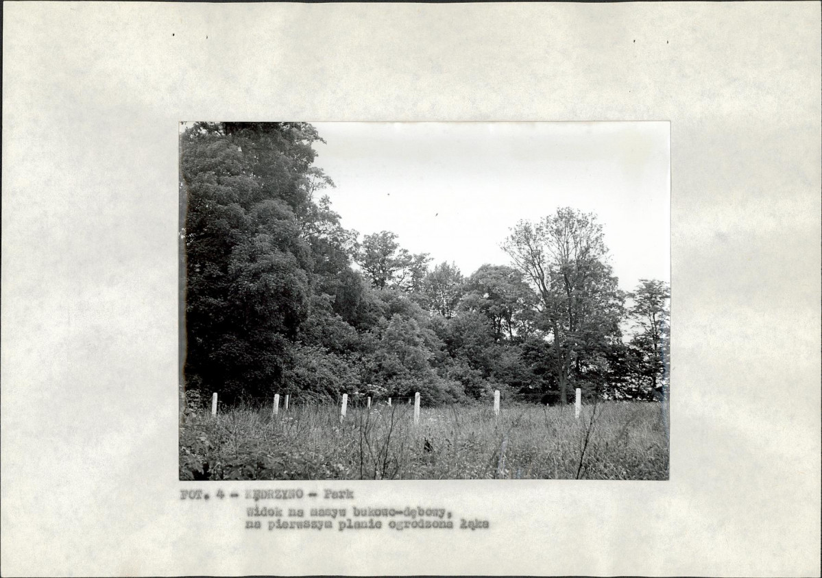 Ewidencja parkowa, skan nr 13