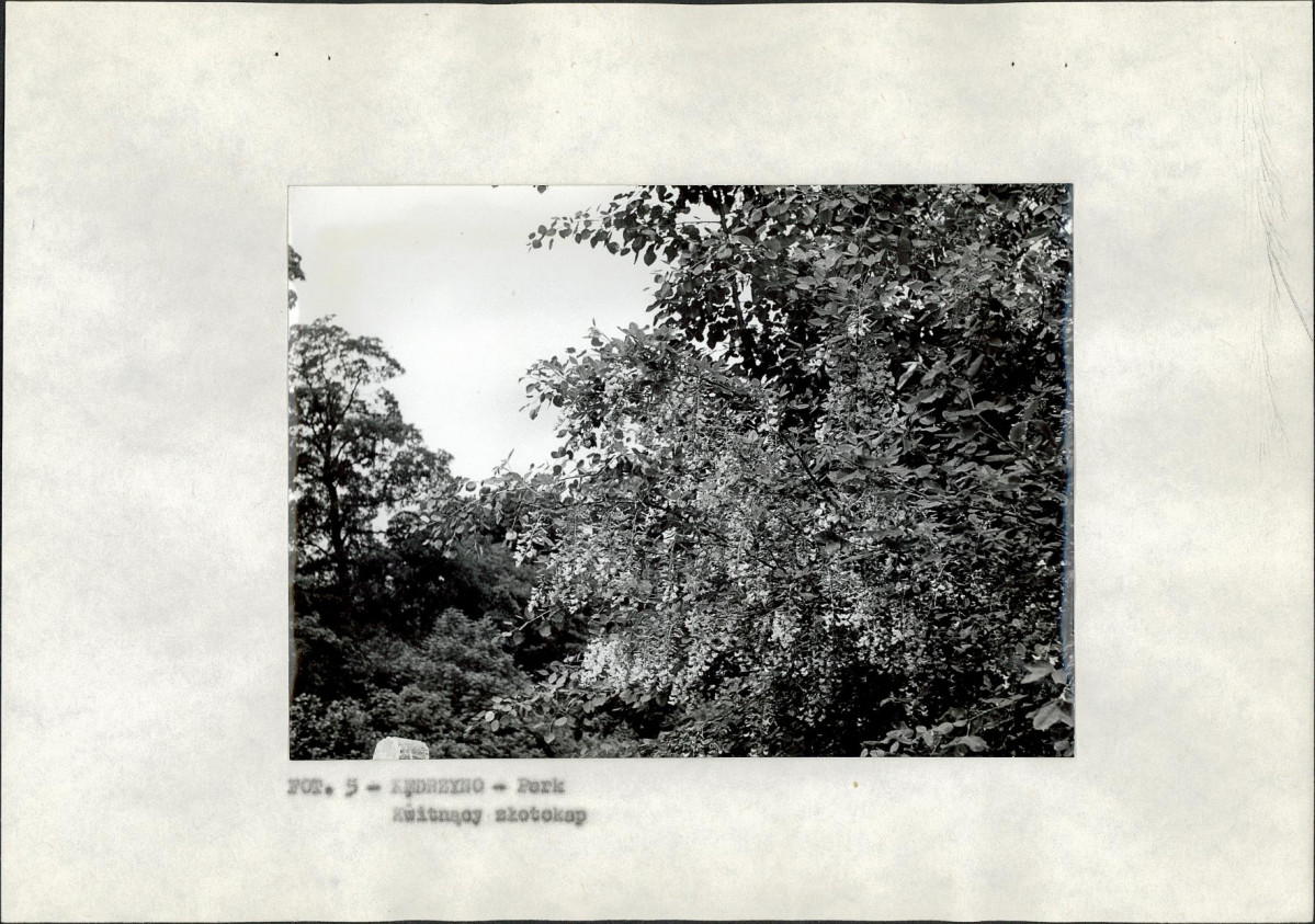Ewidencja parkowa, skan nr 14