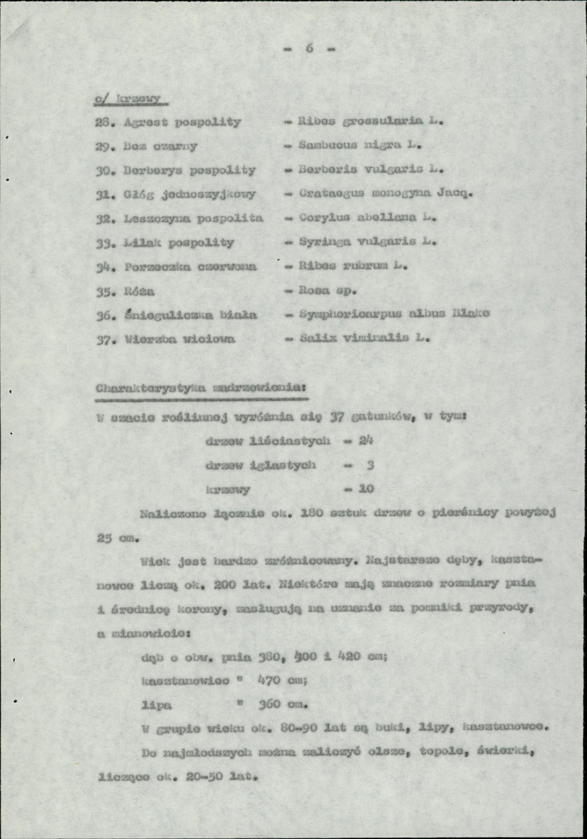 Ewidencja parkowa, skan nr 11