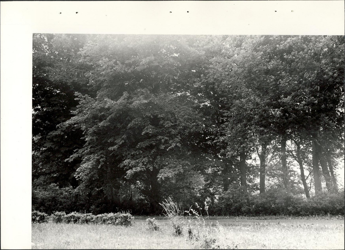 Ewidencja parkowa, skan nr 20