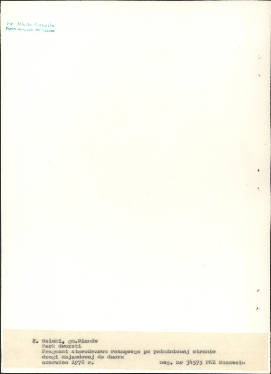 Ewidencja parkowa, skan nr 21