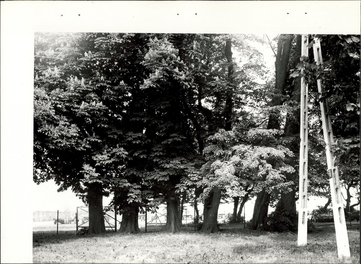 Ewidencja parkowa, skan nr 22