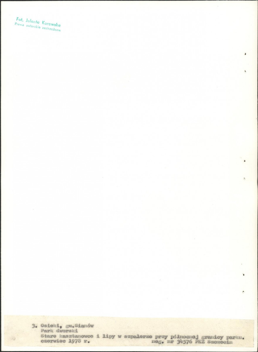 Ewidencja parkowa, skan nr 23