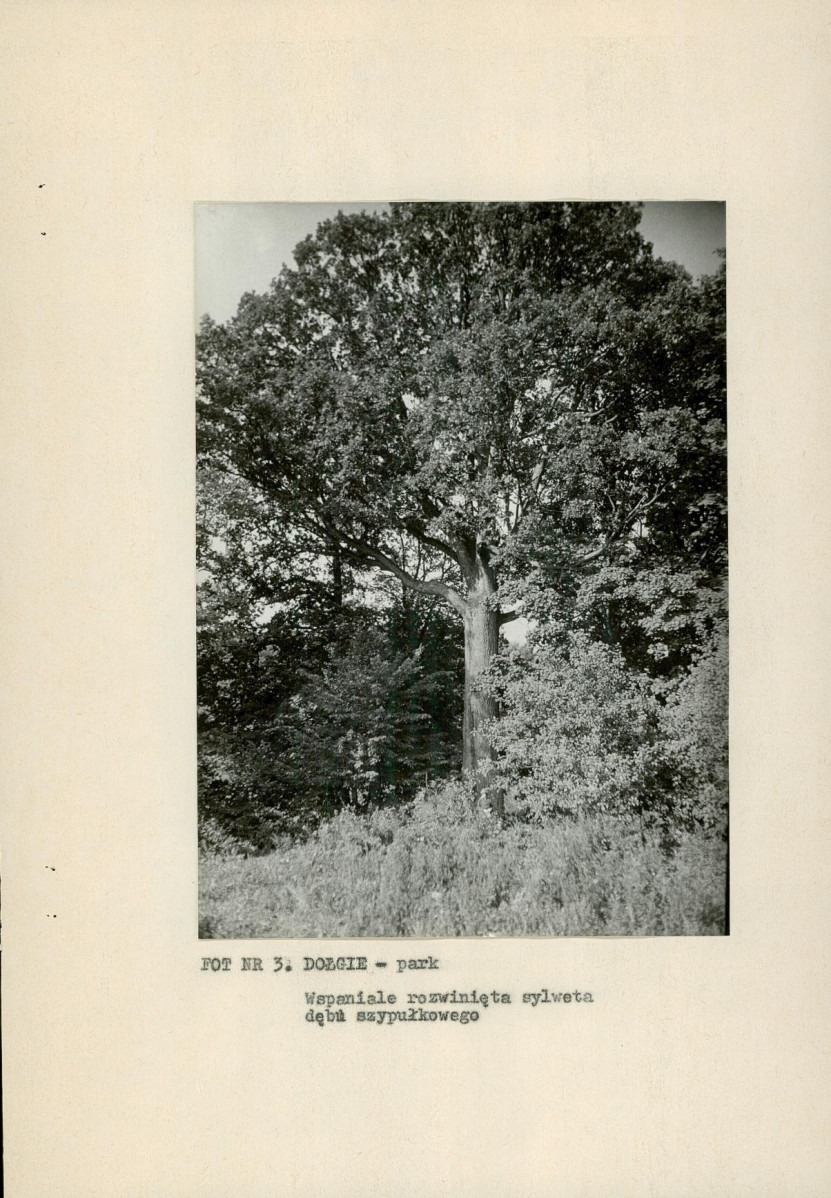 EP - Ewidencja parkowa, skan nr 14