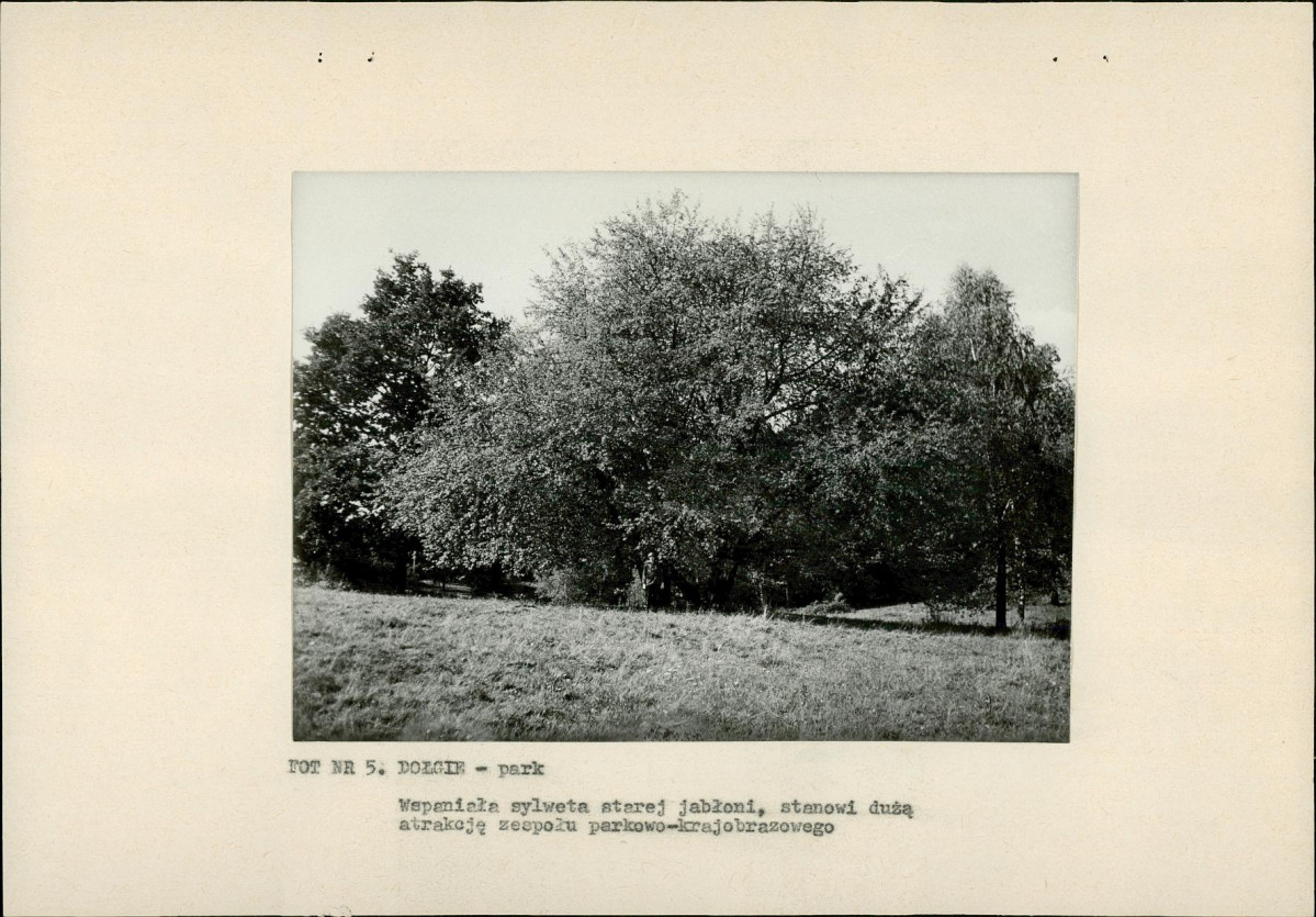 EP - Ewidencja parkowa, skan nr 16