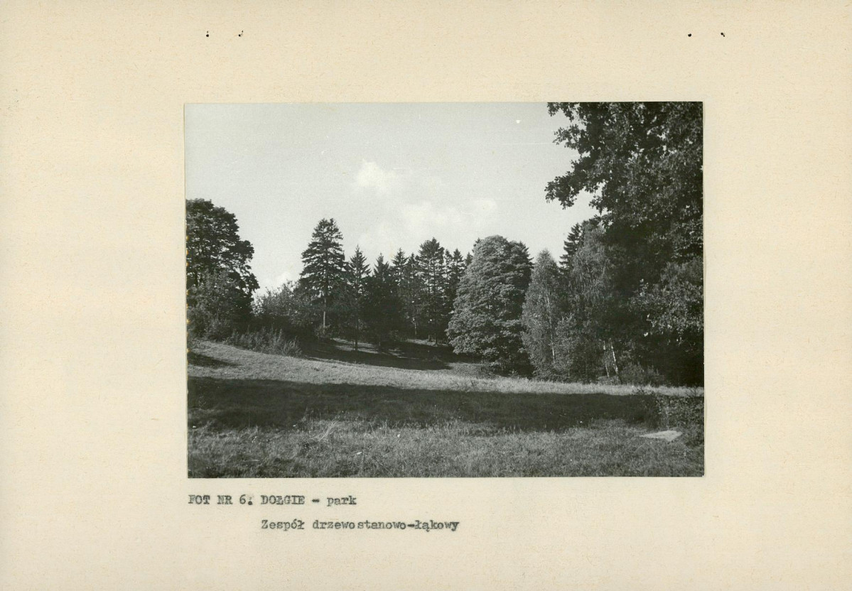 EP - Ewidencja parkowa, skan nr 17