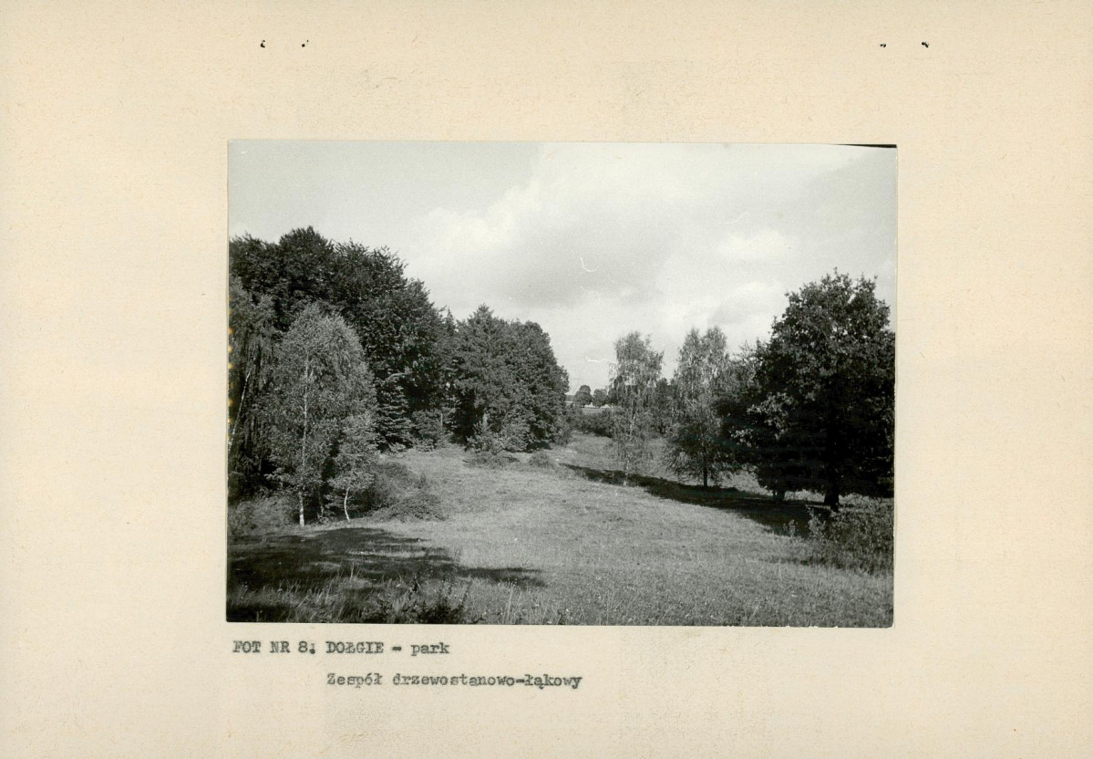 EP - Ewidencja parkowa, skan nr 19