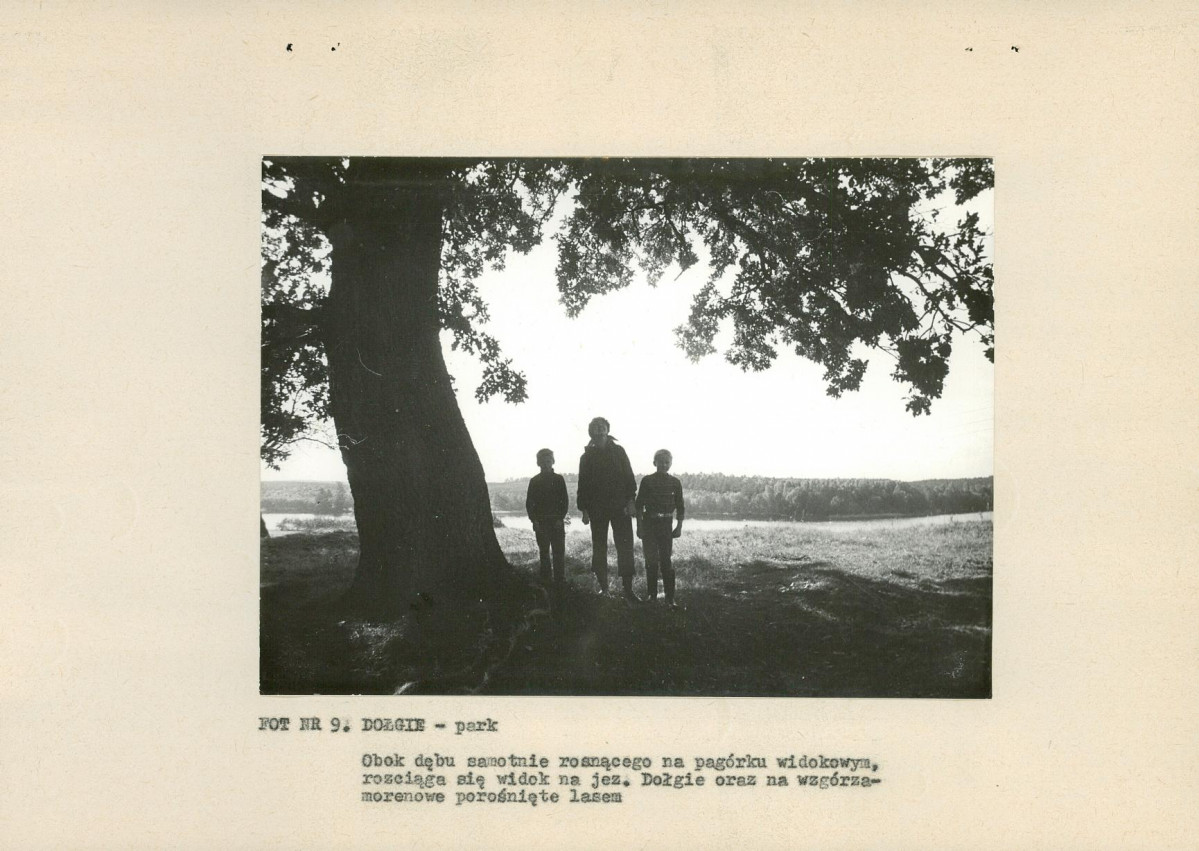 EP - Ewidencja parkowa, skan nr 20