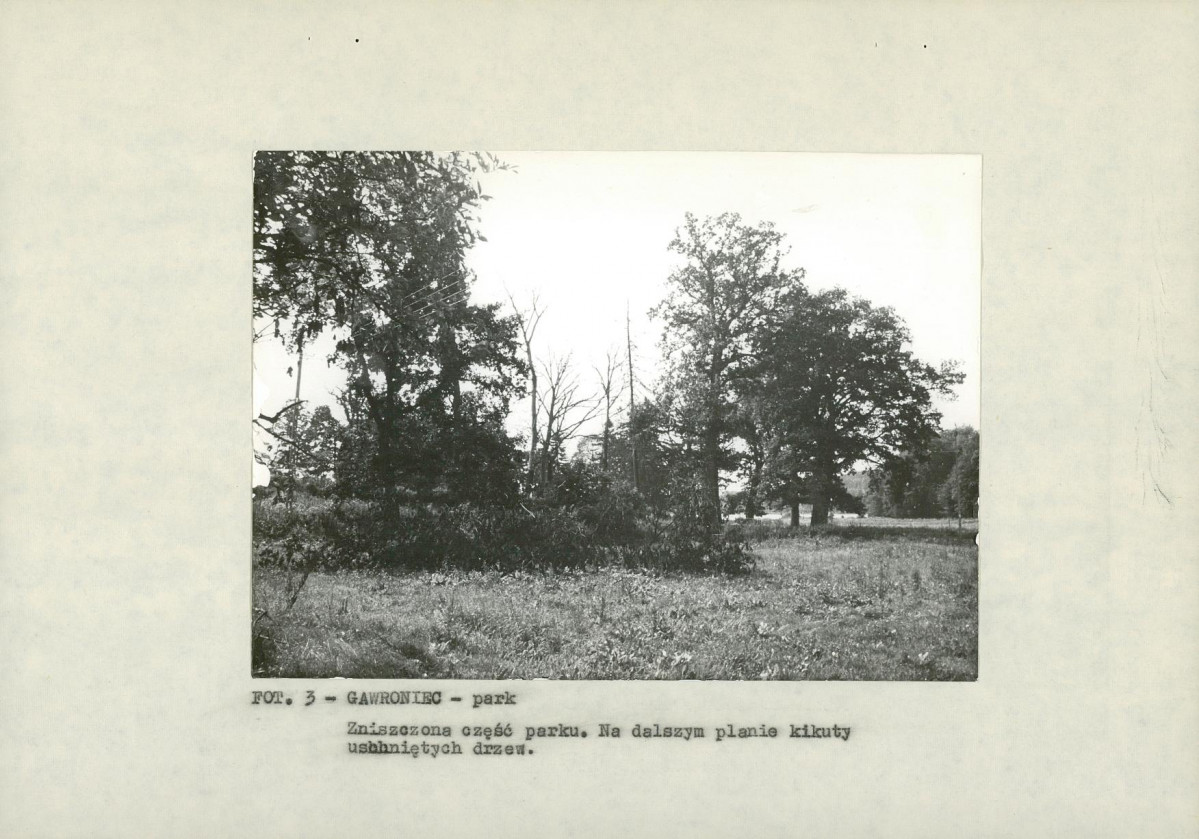 EP - Ewidencja parkowa, skan nr 16