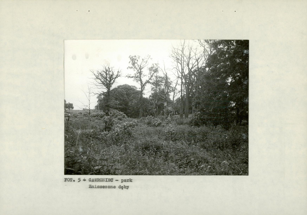 EP - Ewidencja parkowa, skan nr 18