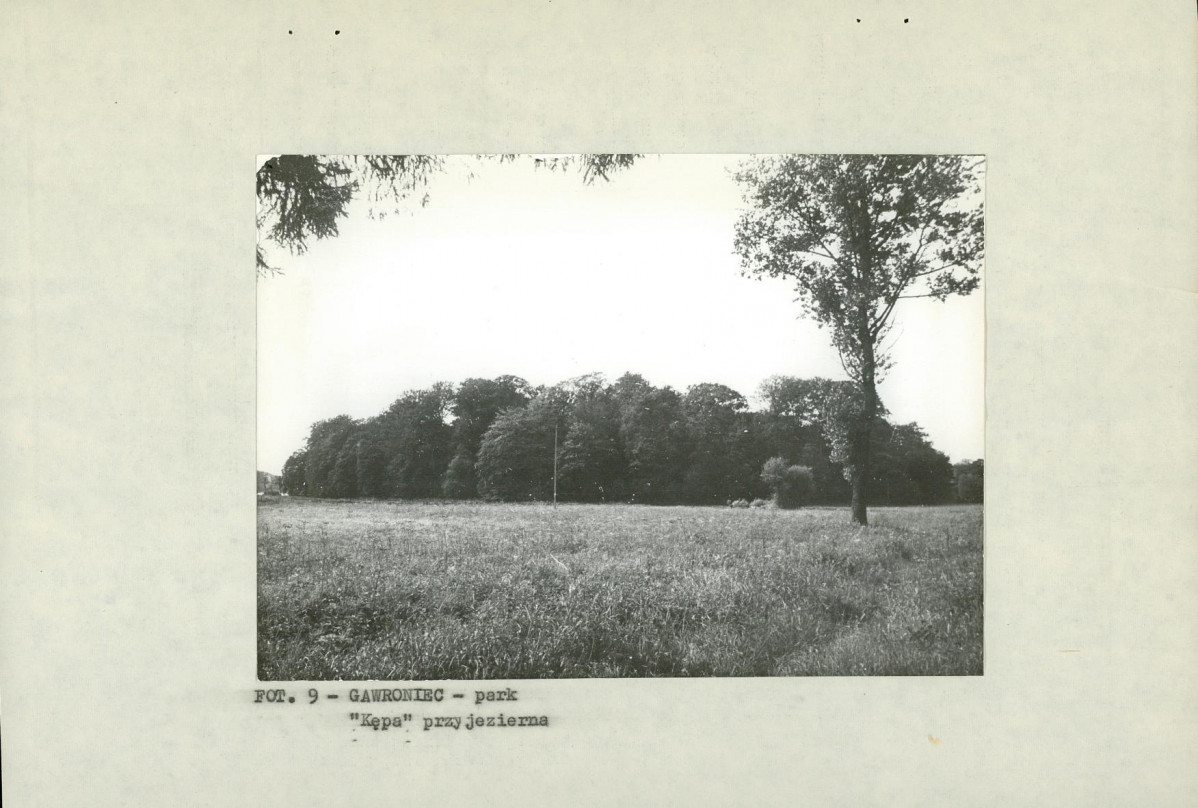 EP - Ewidencja parkowa, skan nr 22