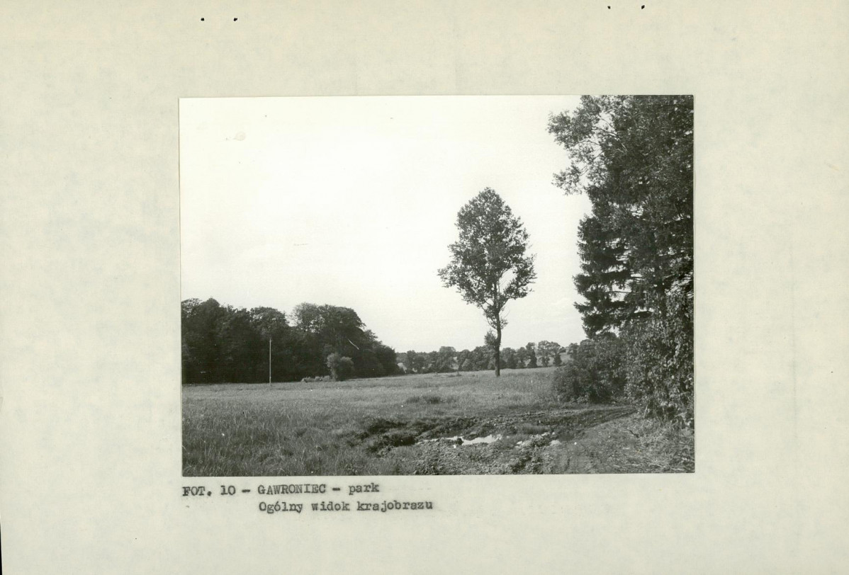 EP - Ewidencja parkowa, skan nr 23