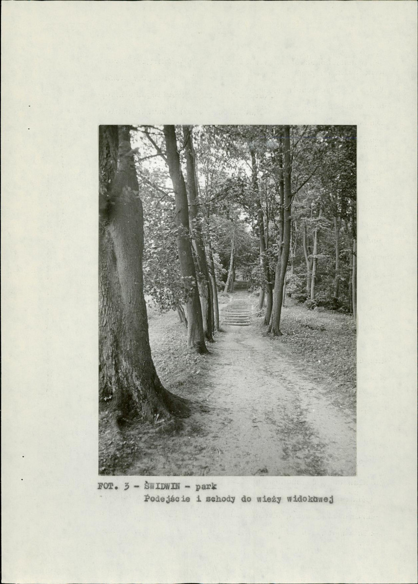 EP - Ewidencja parkowa, skan nr 17