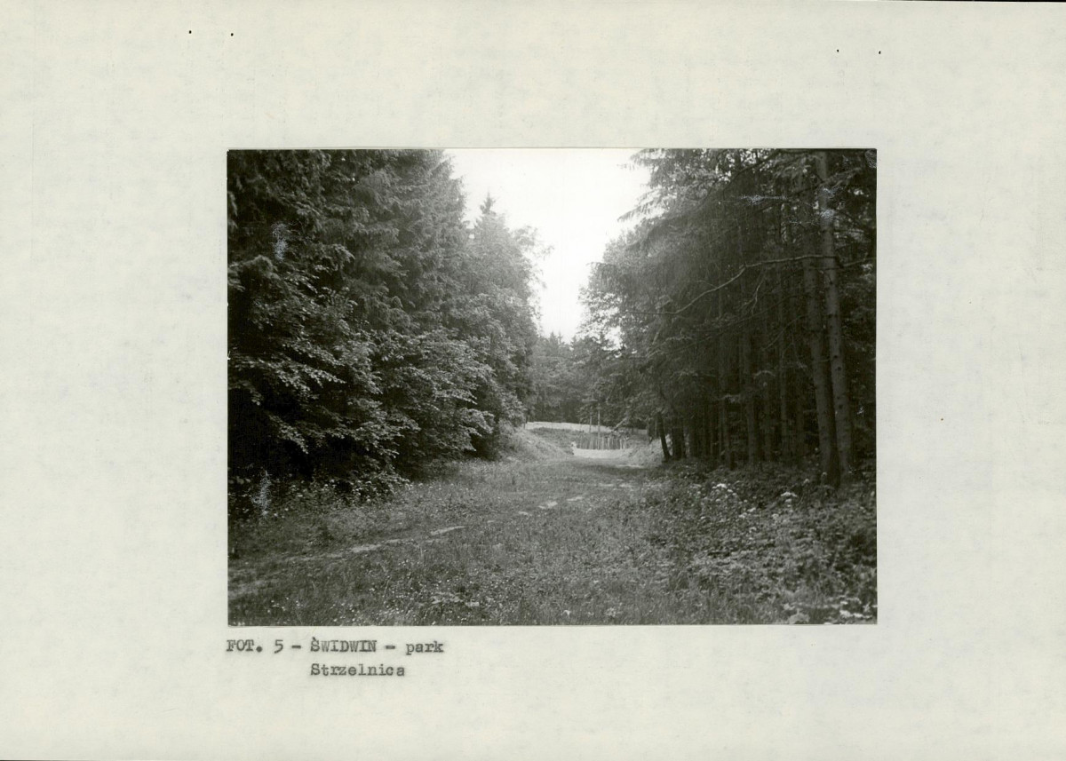 EP - Ewidencja parkowa, skan nr 19