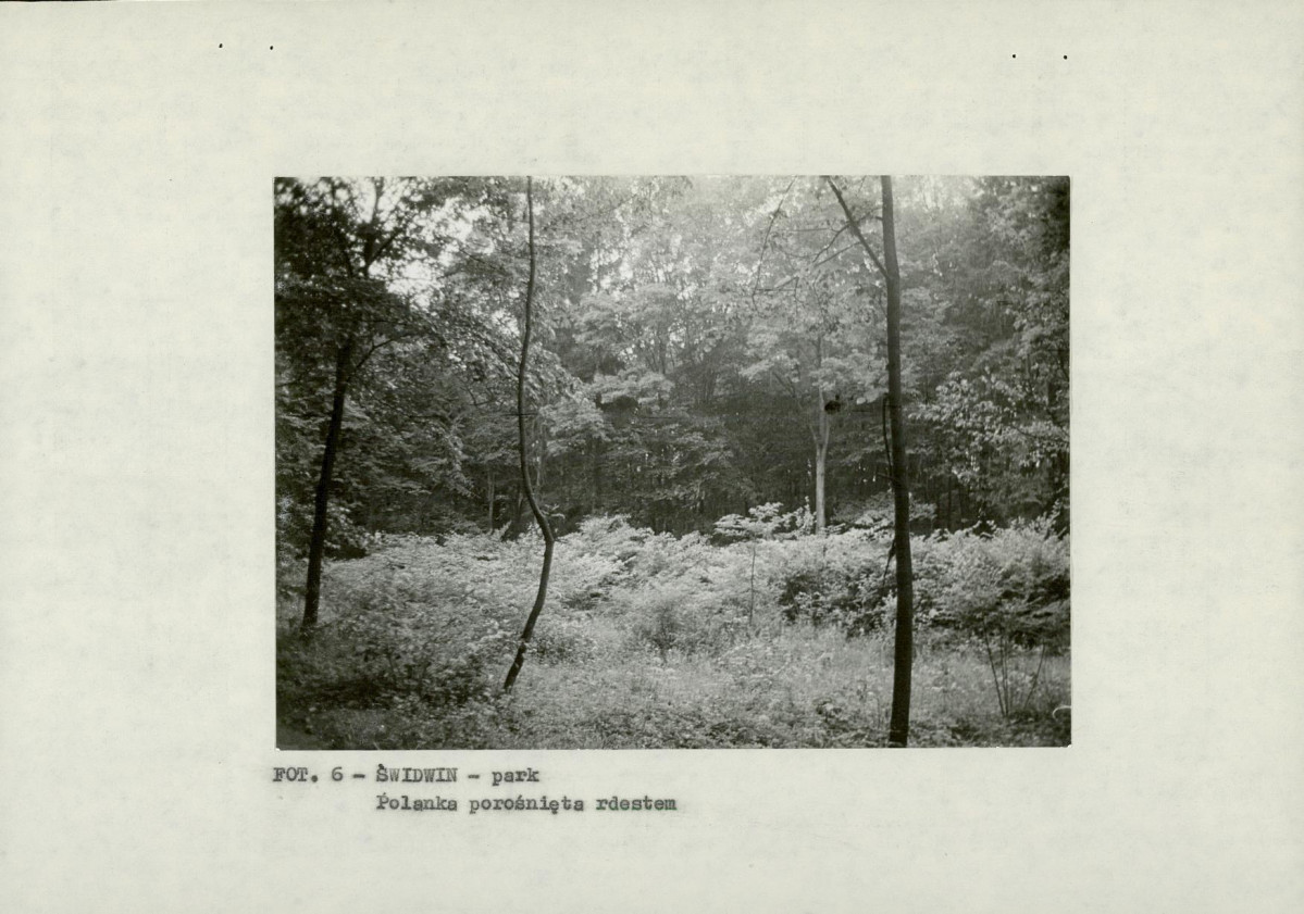 EP - Ewidencja parkowa, skan nr 20