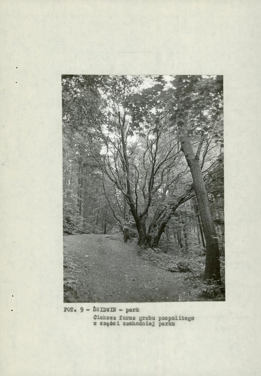 EP - Ewidencja parkowa, skan nr 23