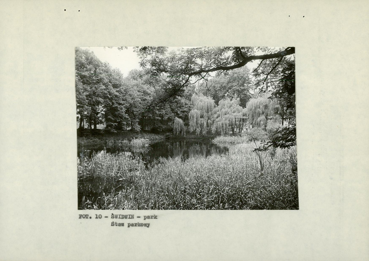 EP - Ewidencja parkowa, skan nr 24