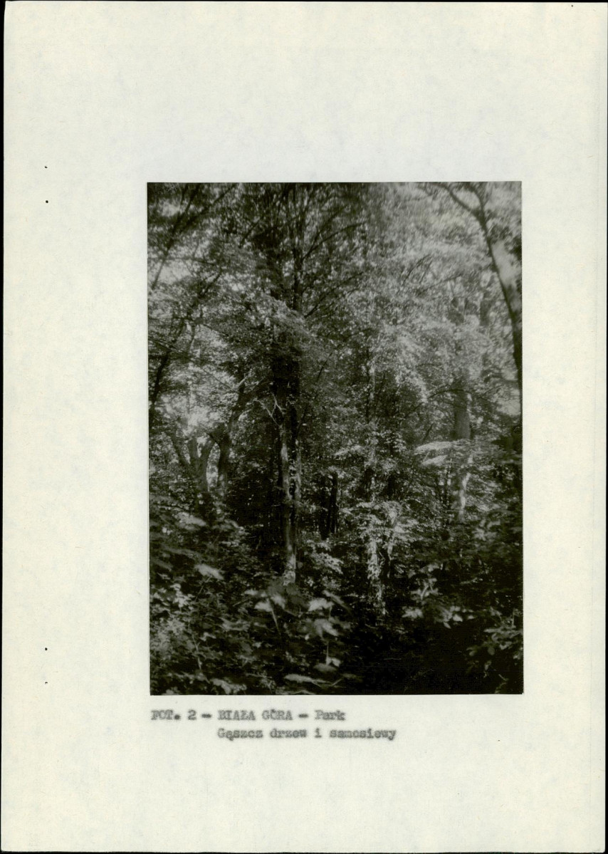 EP - Ewidencja parkowa, skan nr 10