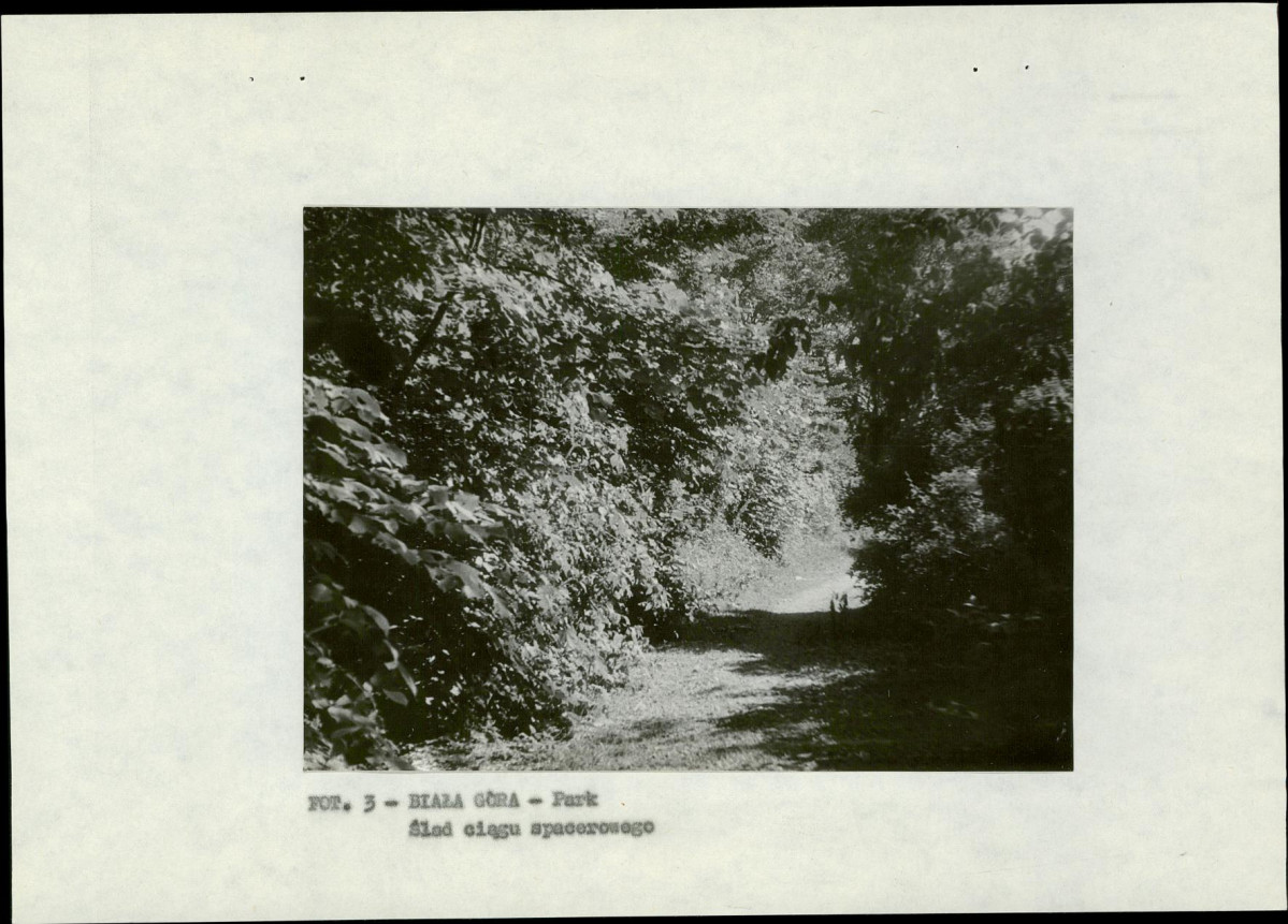 EP - Ewidencja parkowa, skan nr 11