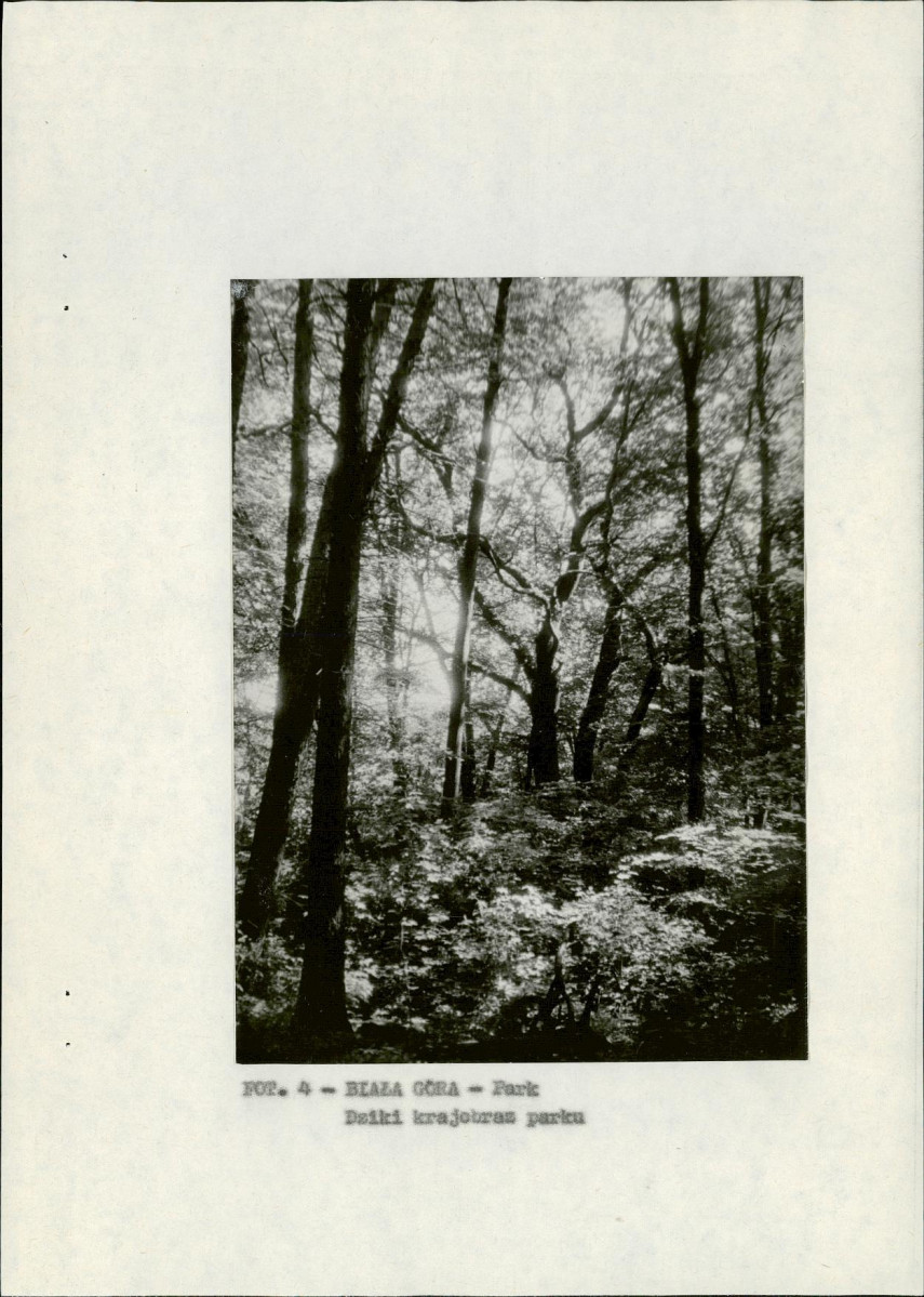 EP - Ewidencja parkowa, skan nr 12