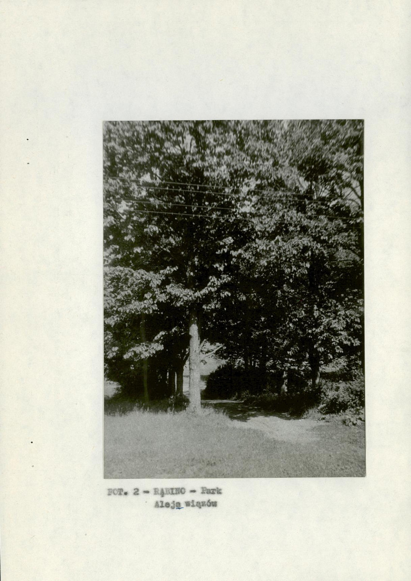 EP - Ewidencja parkowa, skan nr 9