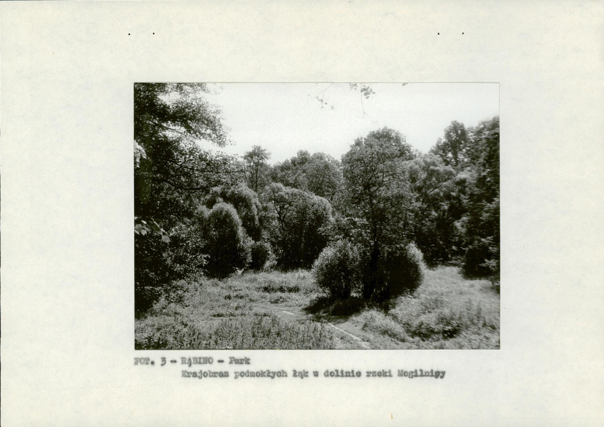 EP - Ewidencja parkowa, skan nr 10