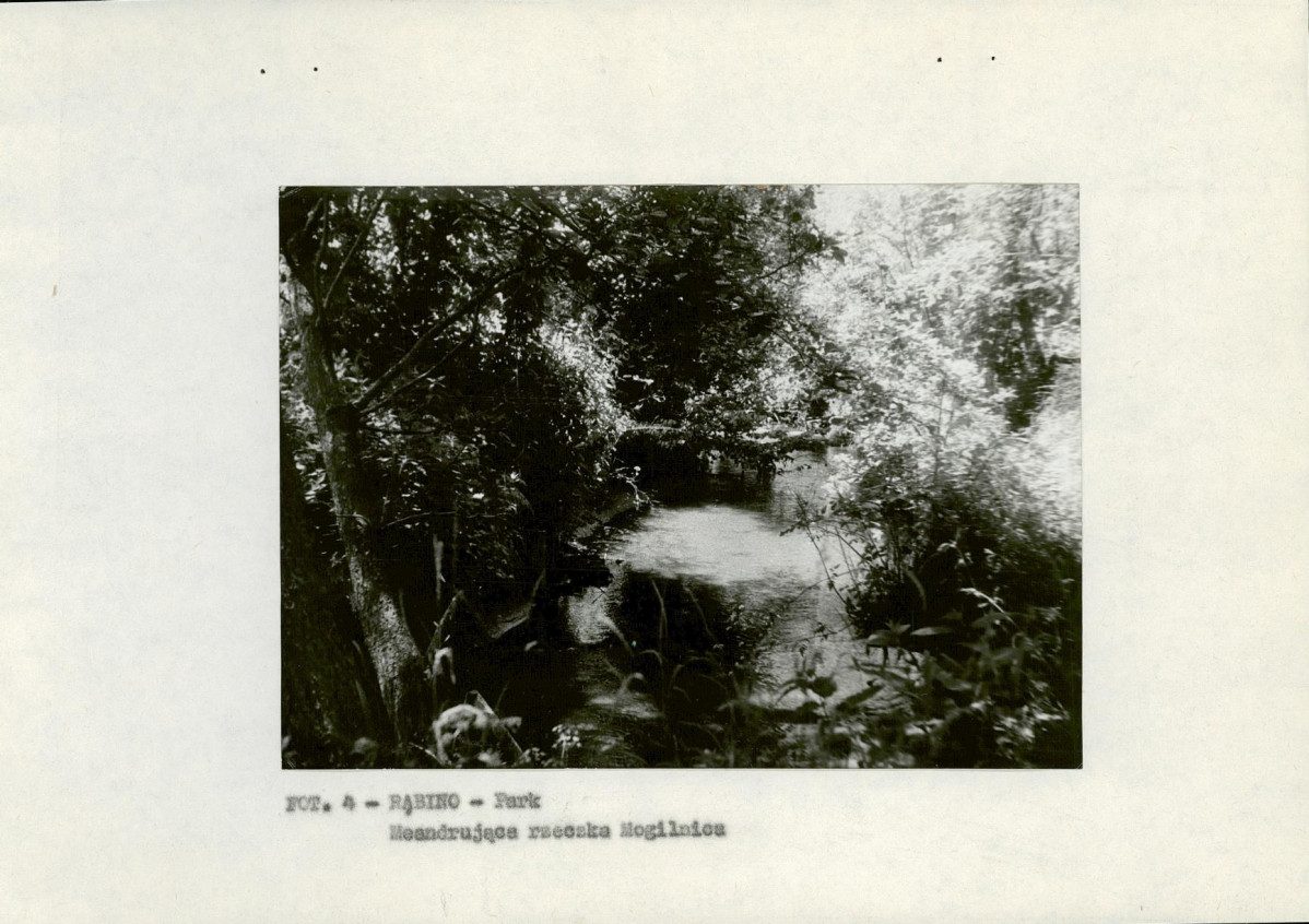 EP - Ewidencja parkowa, skan nr 11