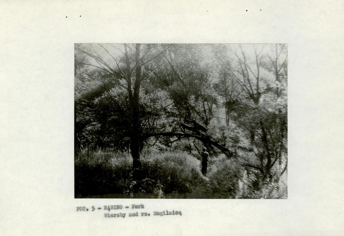 EP - Ewidencja parkowa, skan nr 12