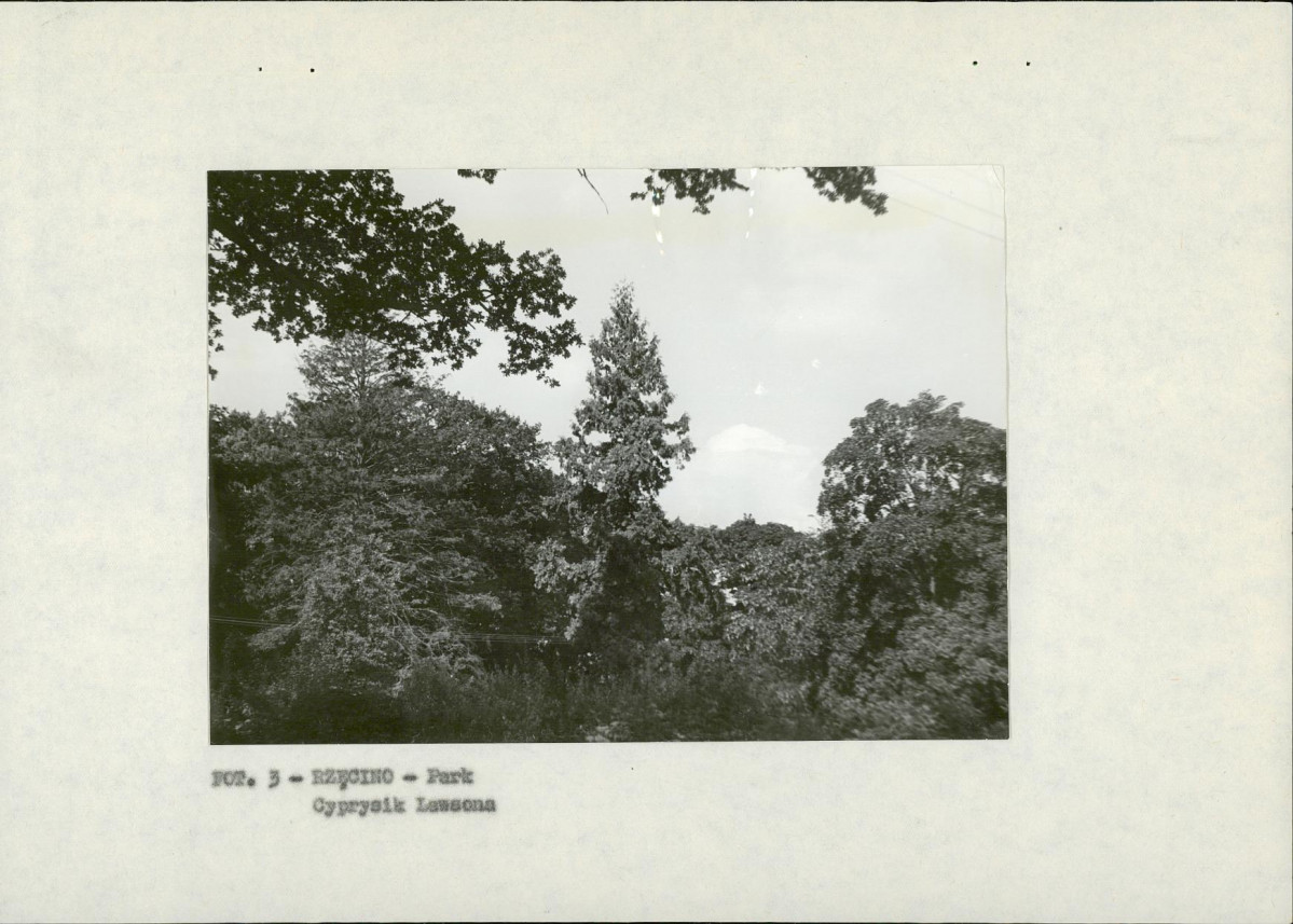 EP - Ewidencja parkowa, skan nr 10