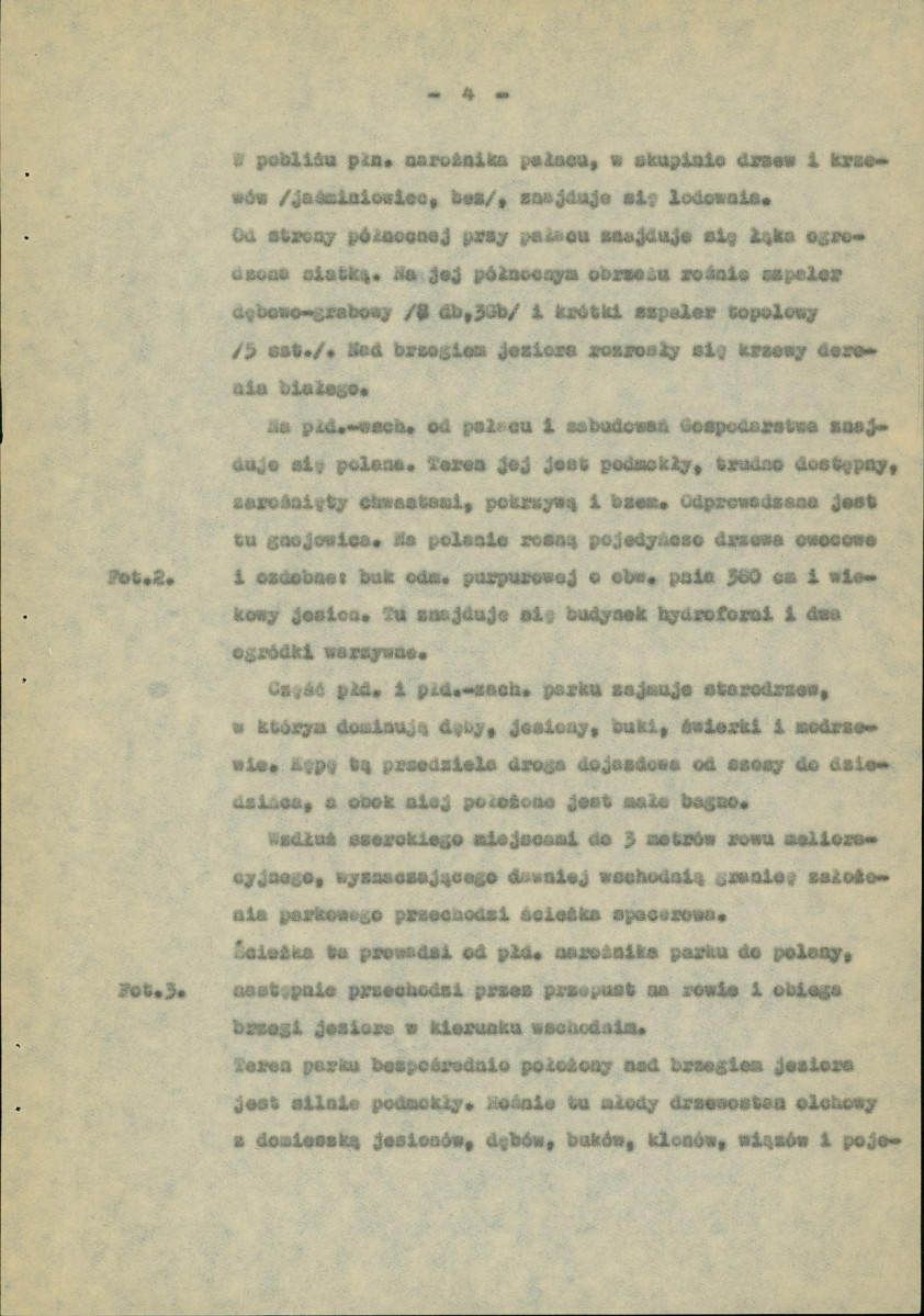 Ewidencja parkowa, skan nr 10