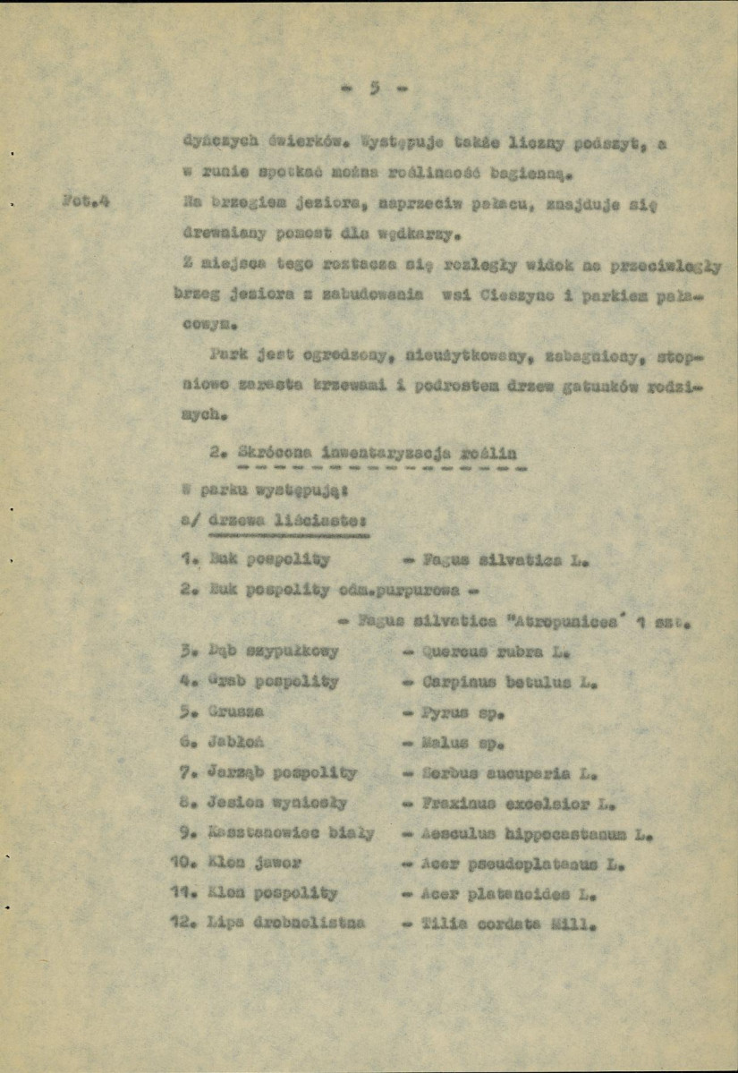 Ewidencja parkowa, skan nr 11