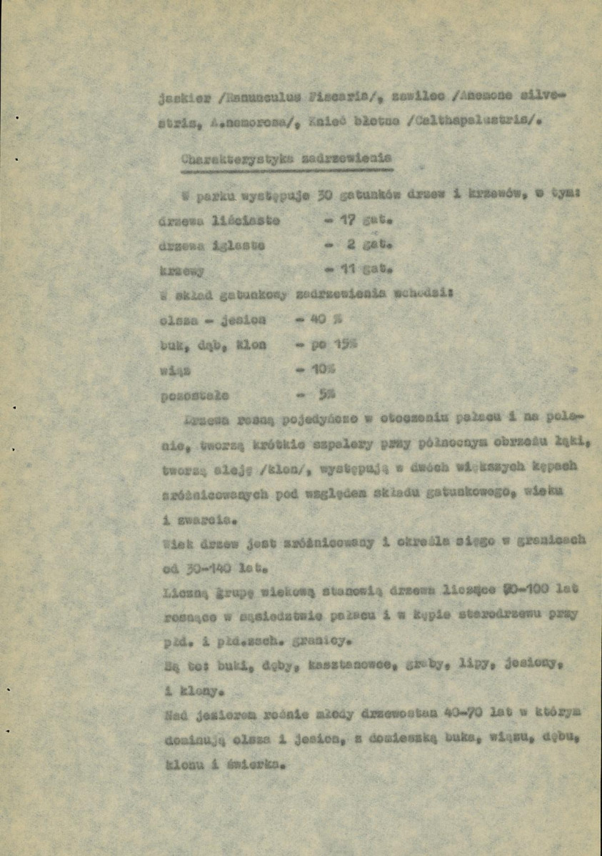 Ewidencja parkowa, skan nr 13