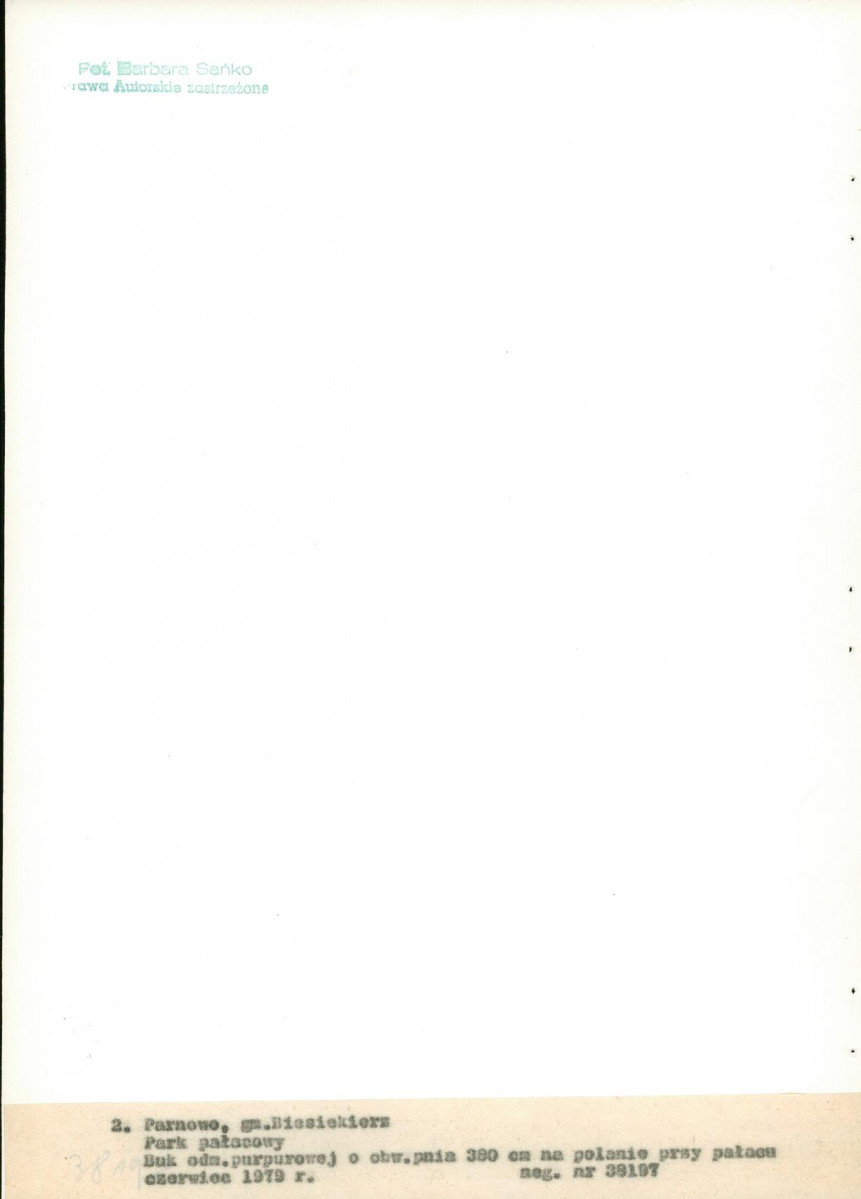 Ewidencja parkowa, skan nr 25