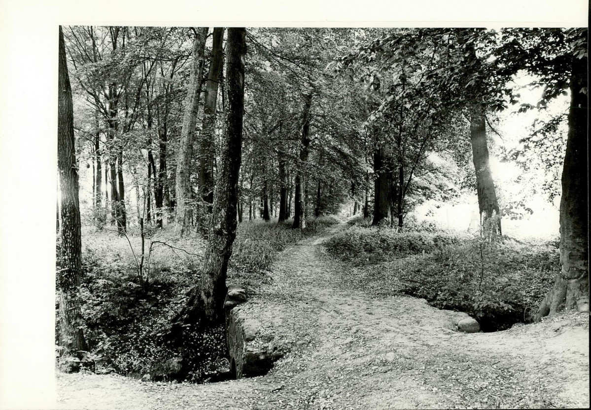 Ewidencja parkowa, skan nr 26