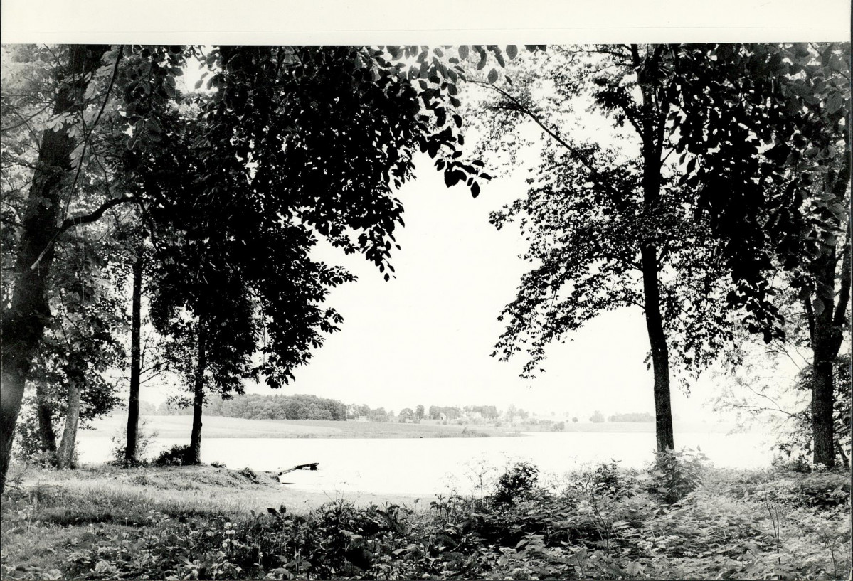 Ewidencja parkowa, skan nr 28