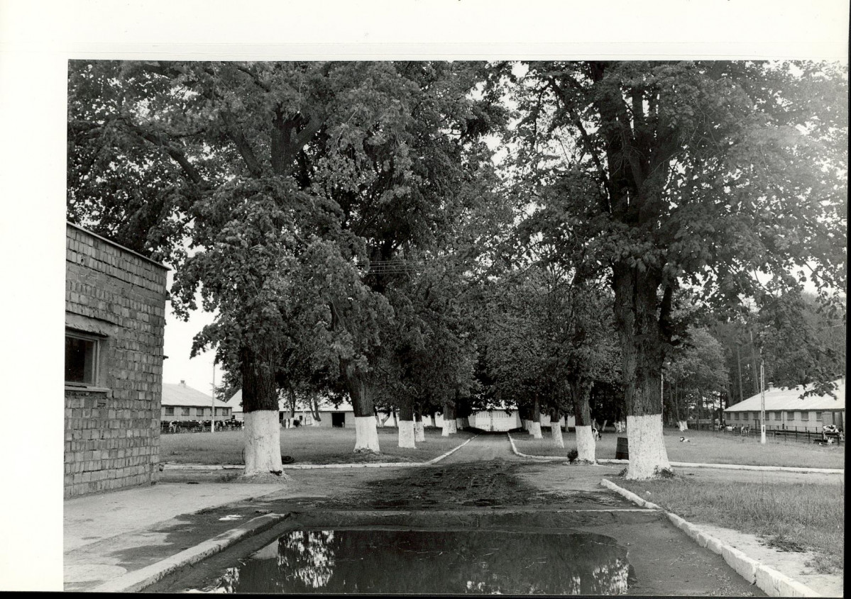 EP - Ewidencja parkowa, skan nr 23