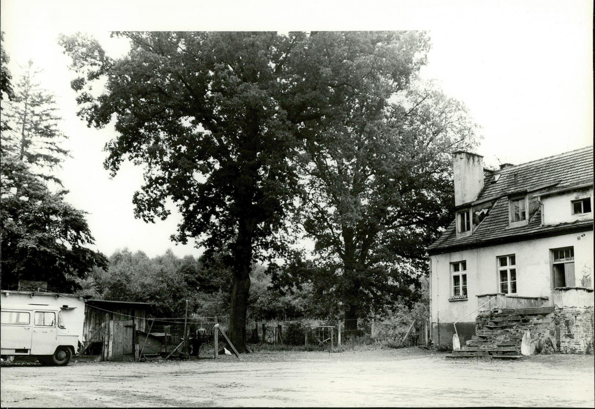 Ewidencja parkowa, skan nr 25