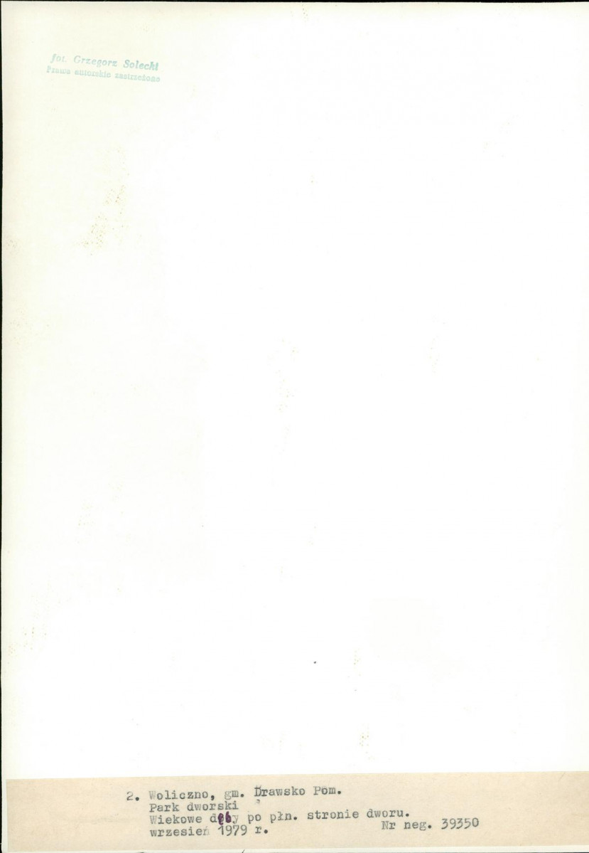 Ewidencja parkowa, skan nr 26