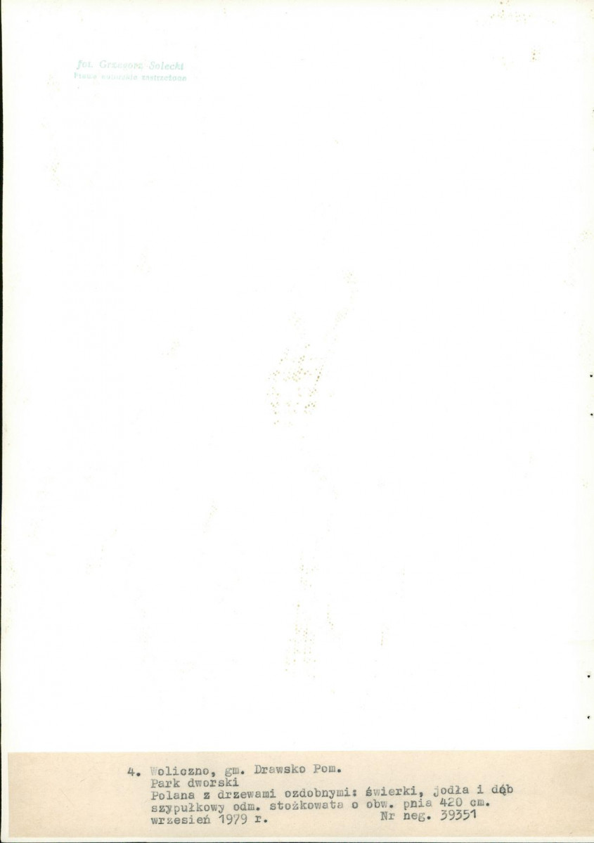 Ewidencja parkowa, skan nr 30