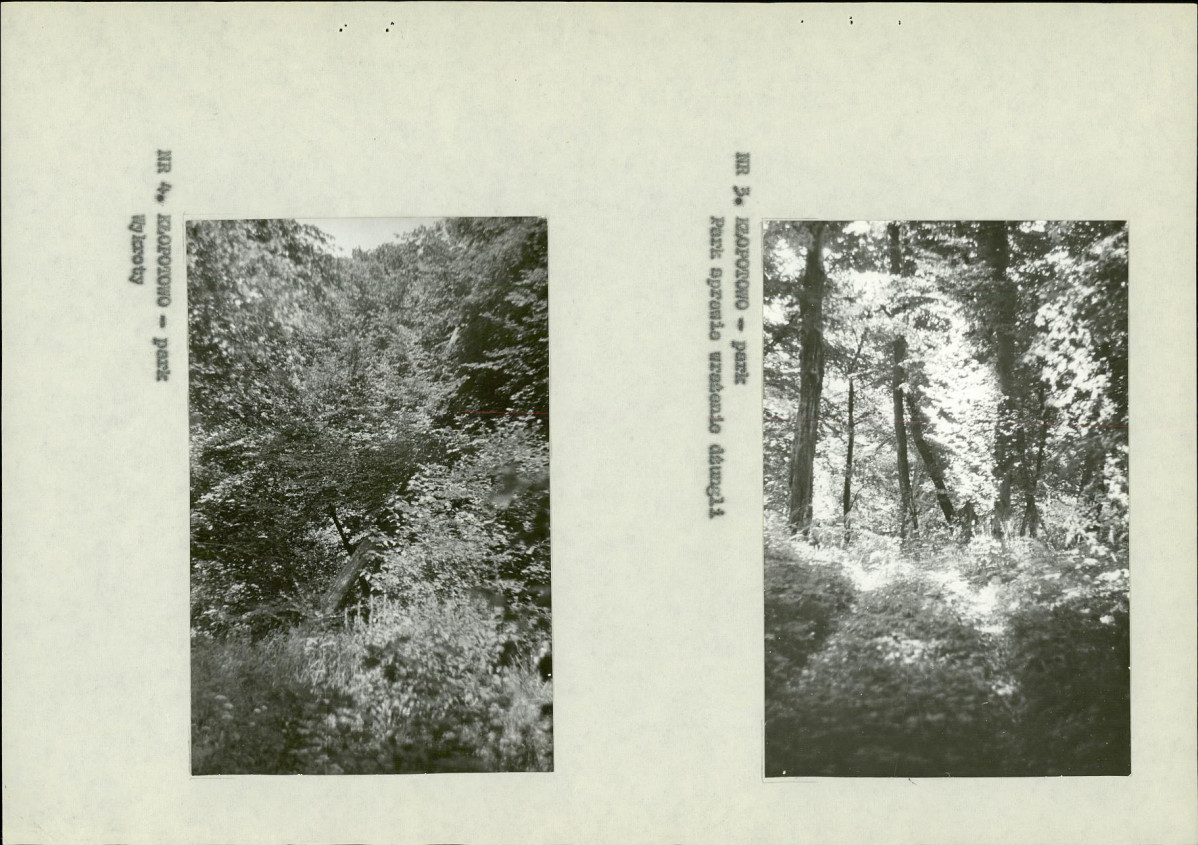 Ewidencja parkowa, skan nr 11