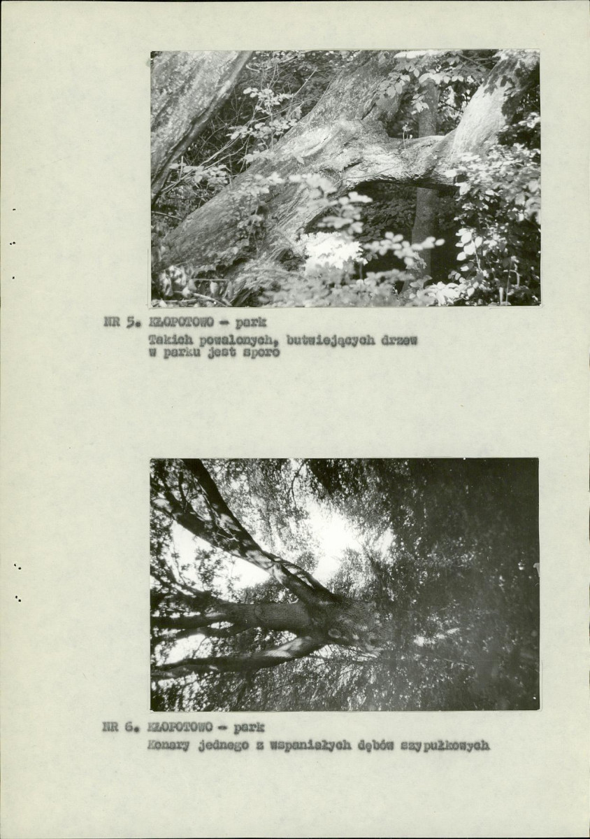 Ewidencja parkowa, skan nr 12