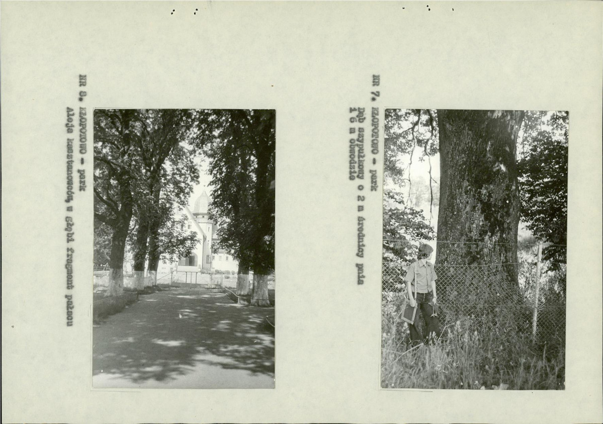 Ewidencja parkowa, skan nr 13