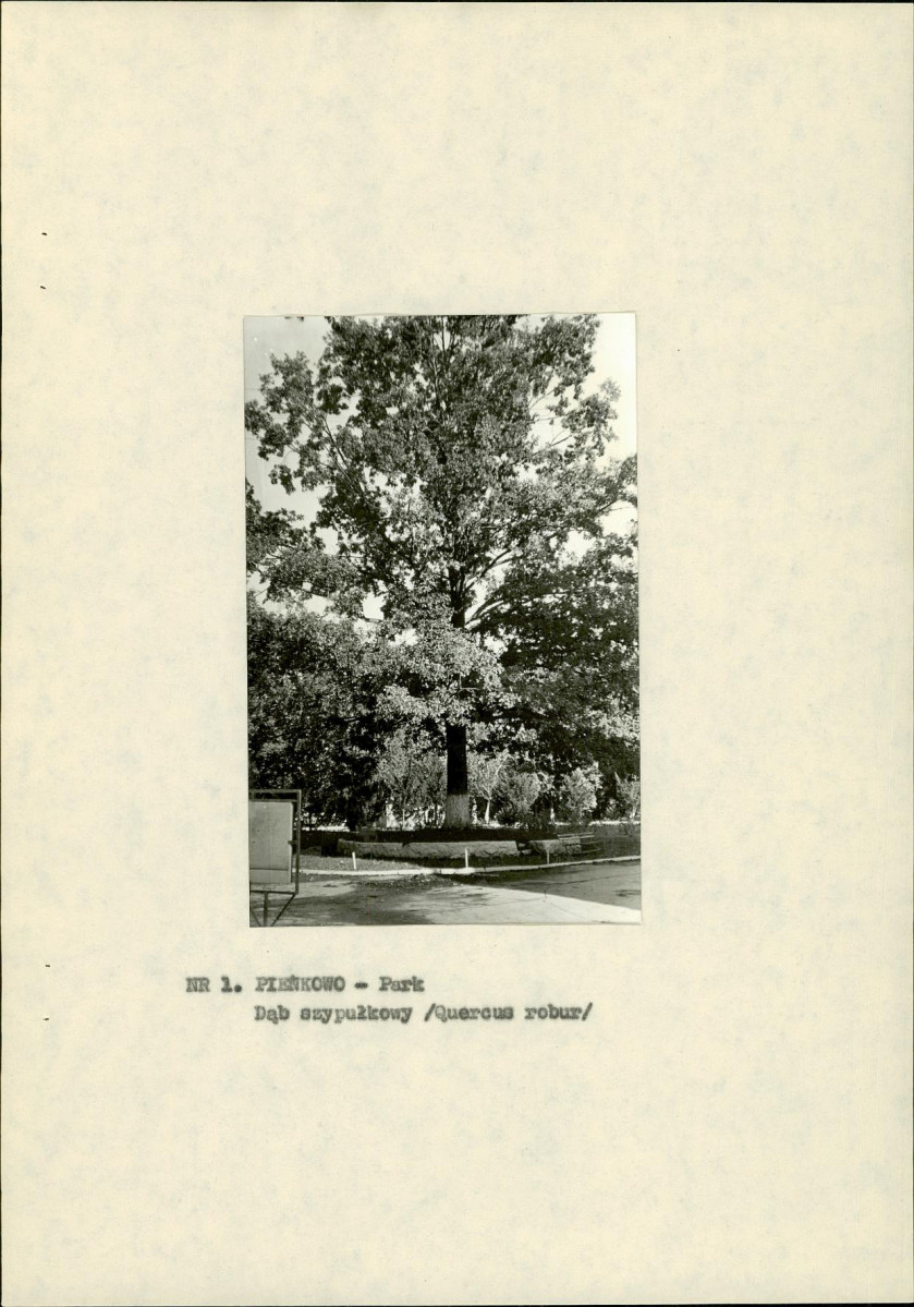 EP - Ewidencja parkowa, skan nr 15