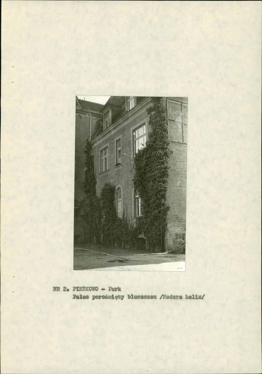 EP - Ewidencja parkowa, skan nr 16