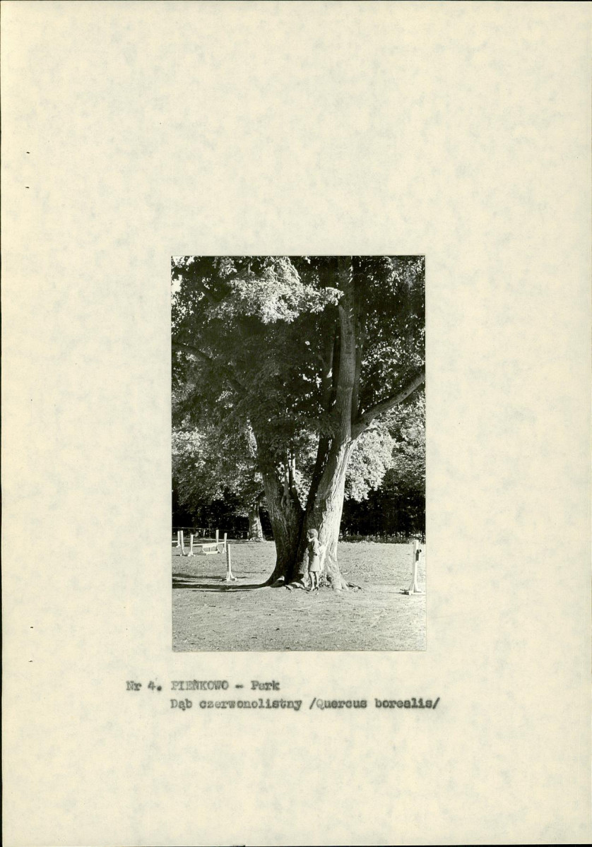 EP - Ewidencja parkowa, skan nr 18