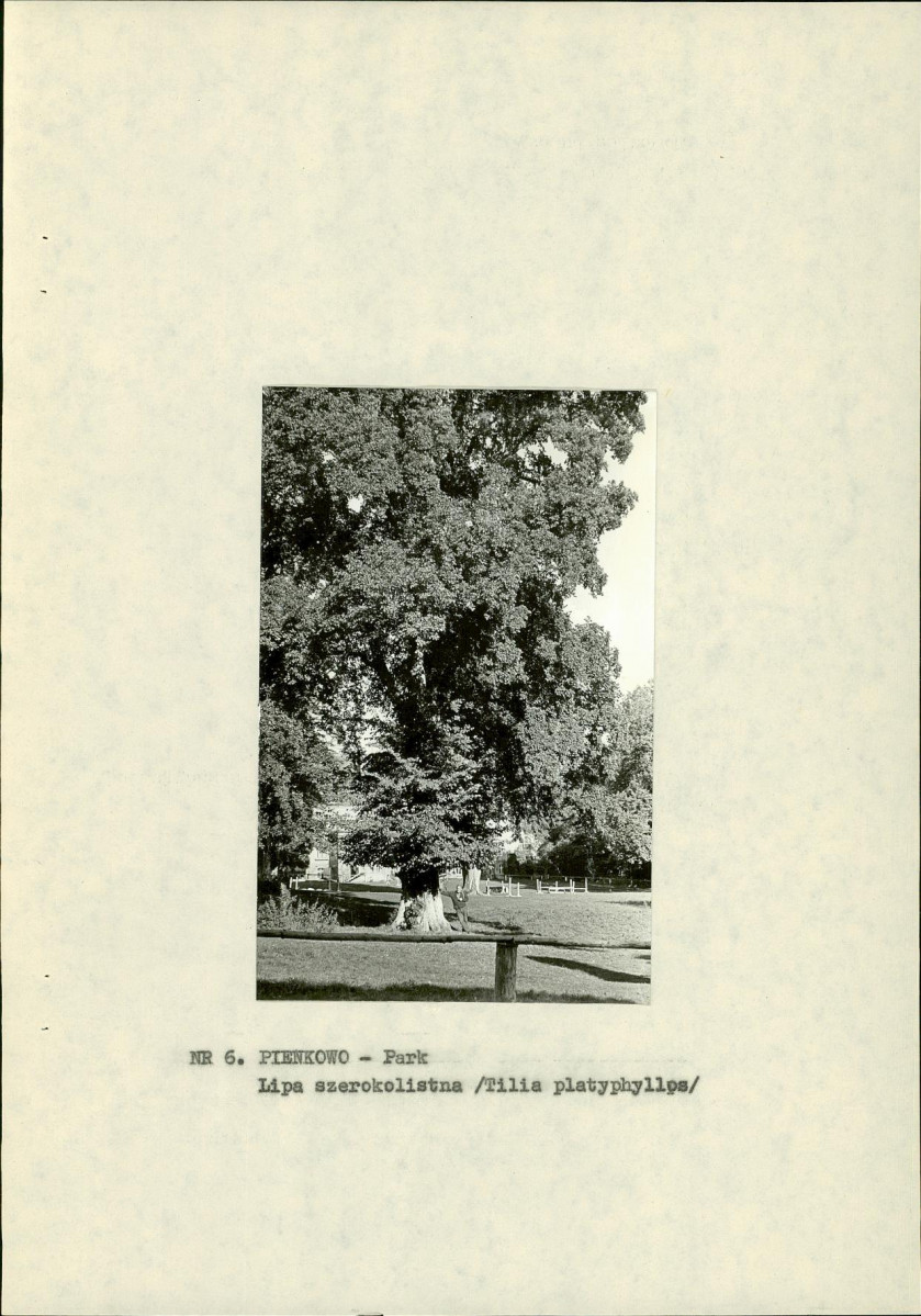 EP - Ewidencja parkowa, skan nr 20