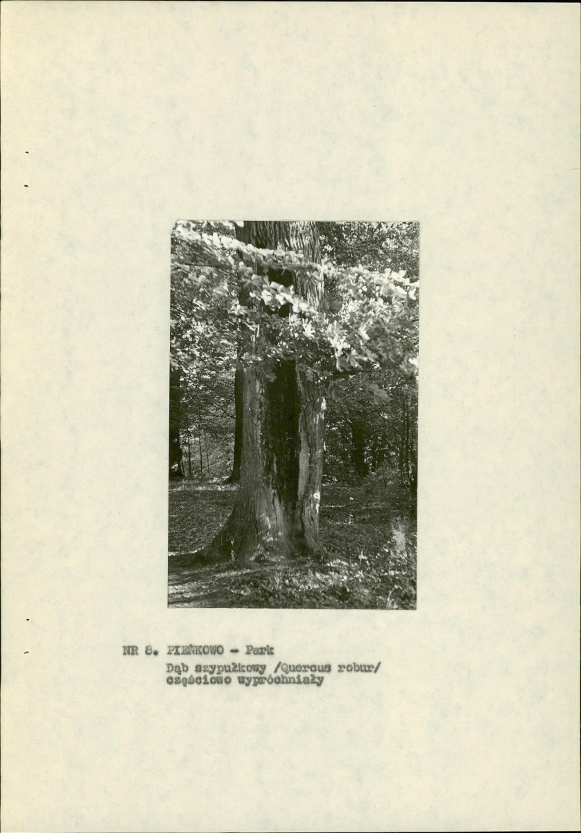 EP - Ewidencja parkowa, skan nr 22