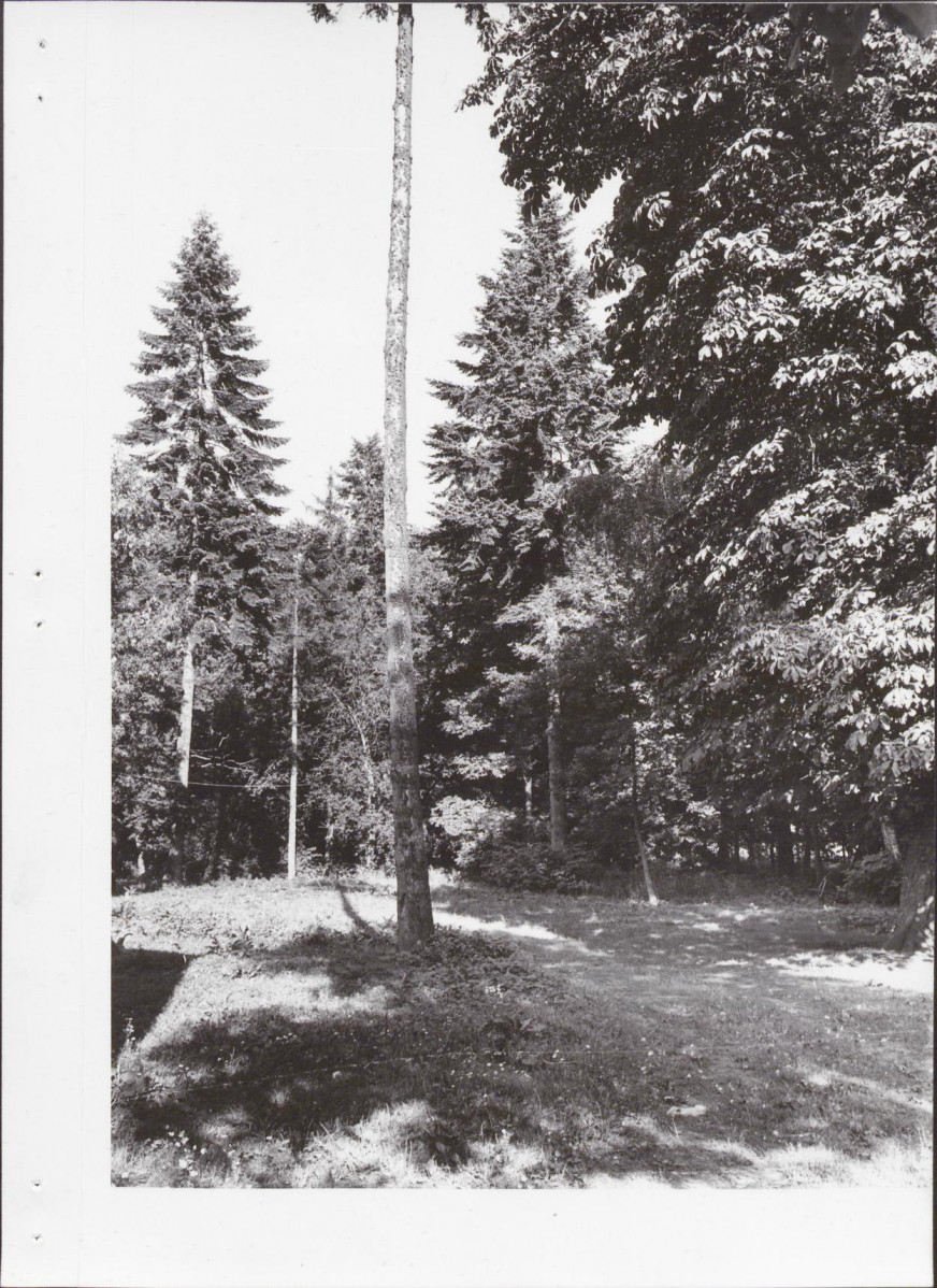 Ewidencja parkowa, skan nr 13